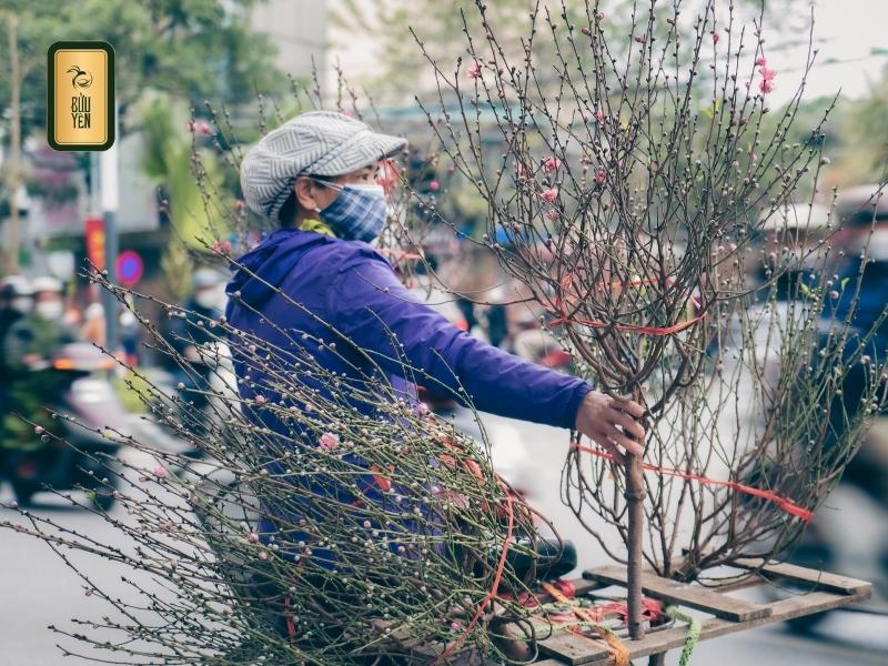 Quà Tết đẹp các loại hoa mùa xuân