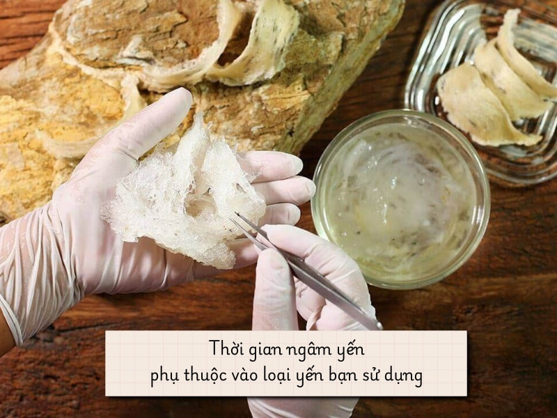 yen-chung-duong-phen-thoi-gian-ngam