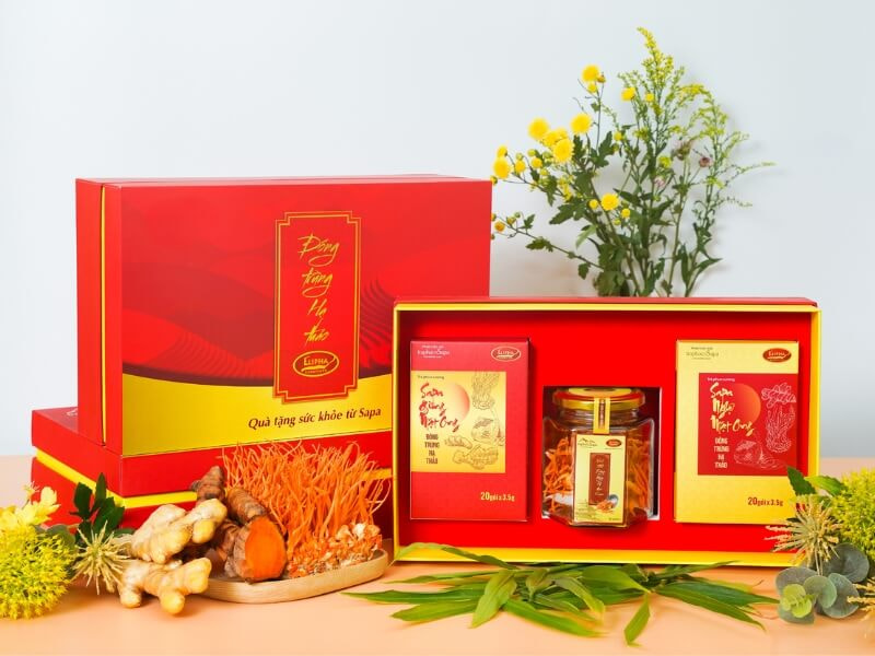 Đông trùng hạ thảo 