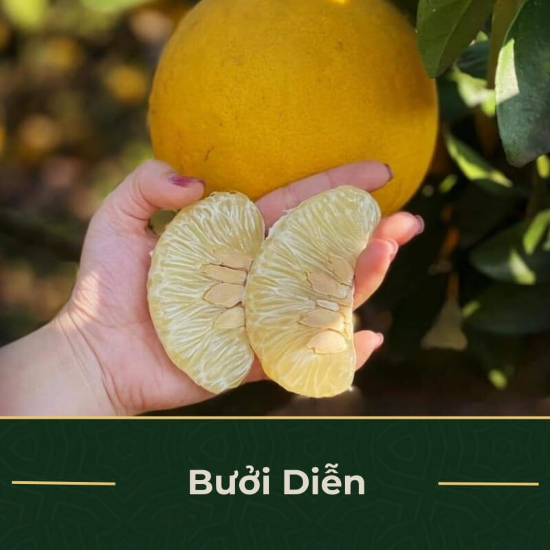 Bưởi Diễn