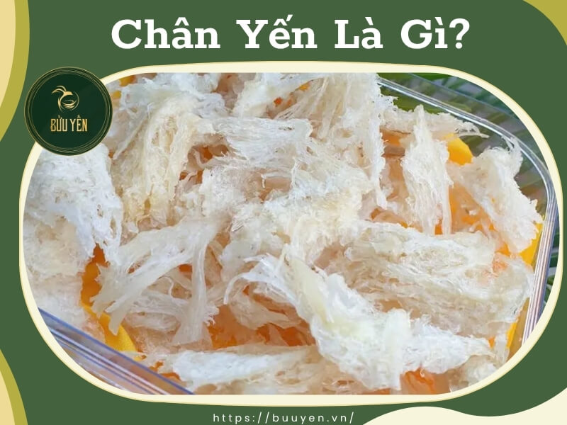 Chân yến