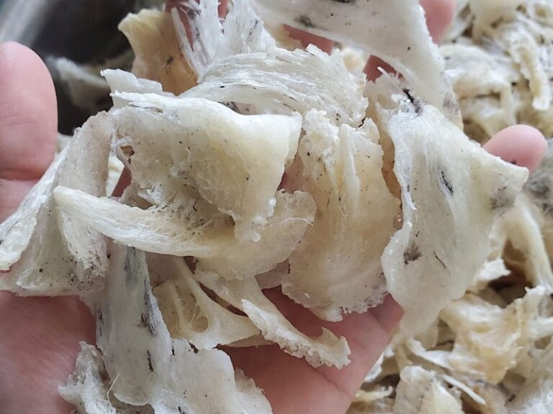 chân tổ yến