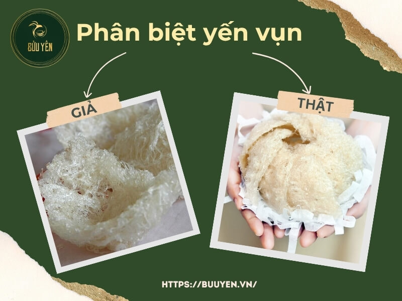 phân biệt yến vụn thật và giả