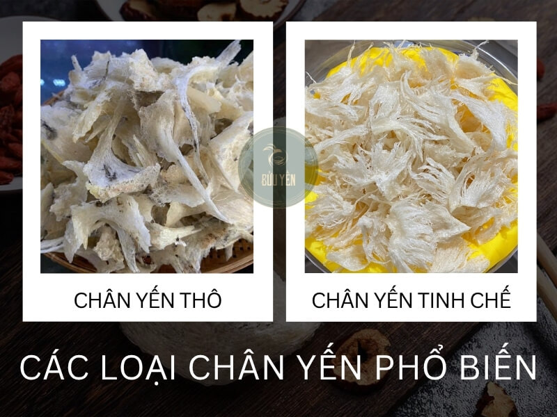 Bửu Yến phan loai chan yen