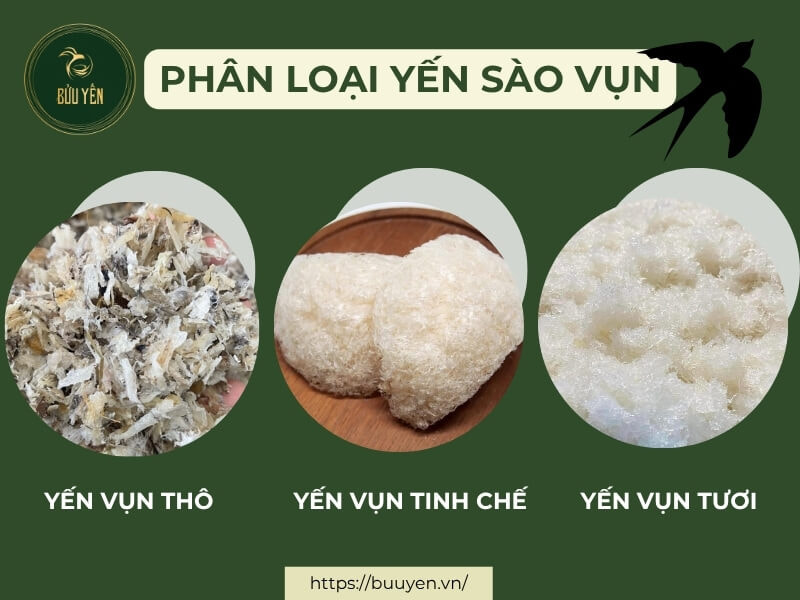phân loại yến vụn