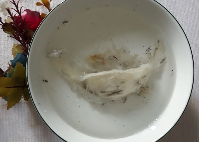 Ngâm tổ yến