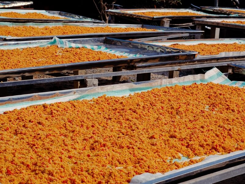 Muối tôm đặc sản Tây Ninh