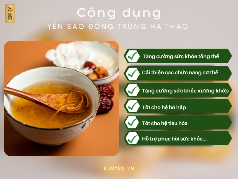 Khuyến Nghị Từ Chuyên Gia Về Việc Sử Dụng Yến Sào Khi Bị Ho