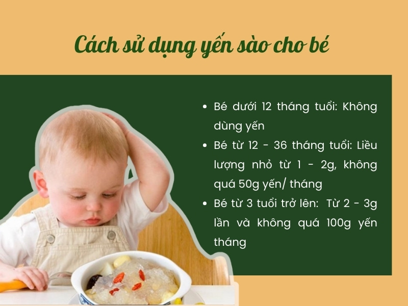 Cách sử dụng yến sào và liều lượng ăn yến hiệu quả