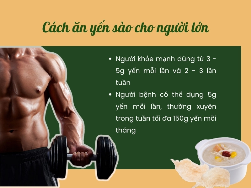 Cách sử dụng yến sào và liều lượng ăn yến hiệu quả