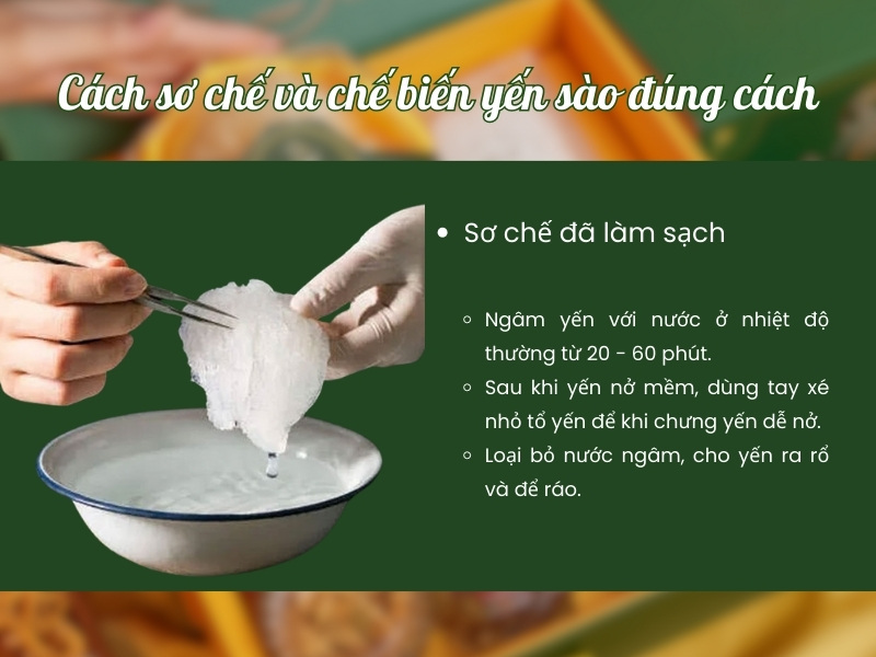 Cách sử dụng yến sào và liều lượng ăn yến hiệu quả