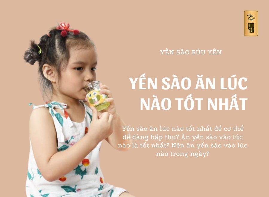 Thời Điểm Lý Tưởng Ăn Tổ Yến