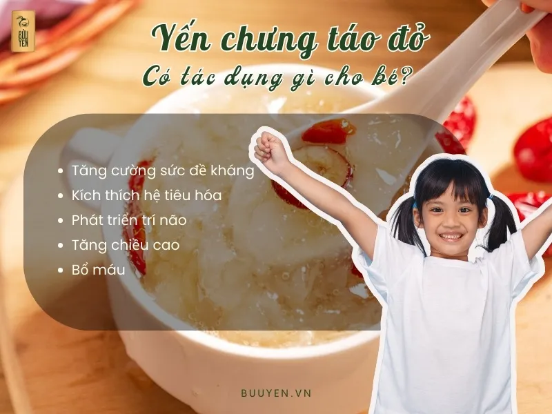 5 Công thức làm yến chưng táo đỏ thơm ngon, bổ dưỡng