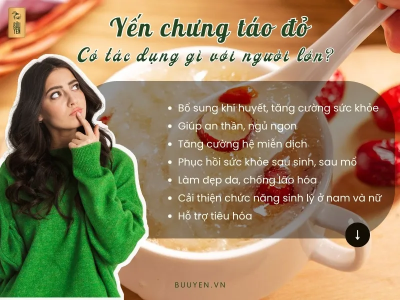 5 Công thức làm yến chưng táo đỏ thơm ngon, bổ dưỡng