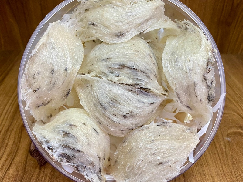 to-yen-co-han-su-dung-khong