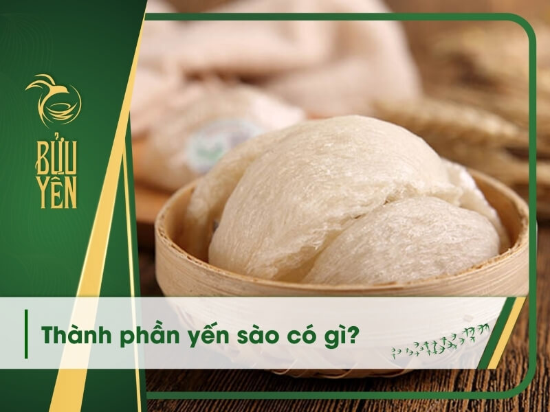 Thành phần yến sào có gì? Tổ yến có thực sự tốt