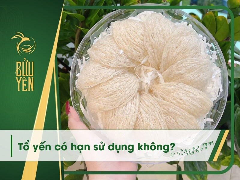 Tổ yến có hạn sử dụng không? Cách bảo quản yến chuẩn đúng cách
