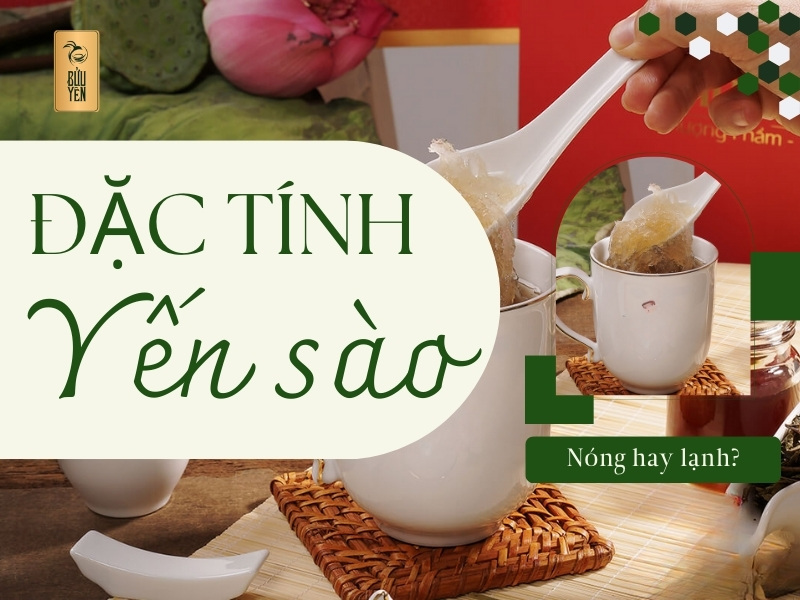 Lưu ý về liều lượng và tần suất sử dụng yến chưng