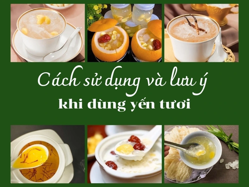 Yến tươi là gì? Cách bảo quản và lưu ý khi dùng