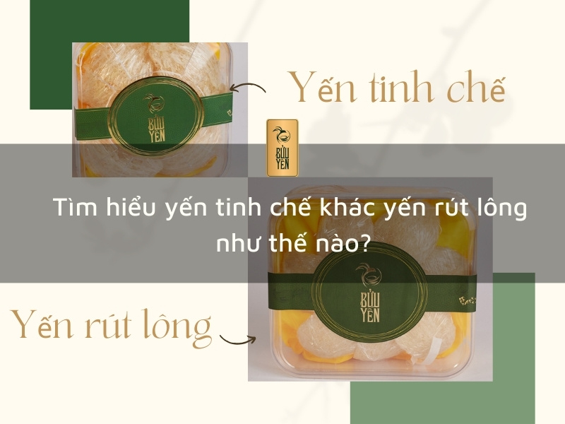 yen-tinh-che-khac-yen-rut-long