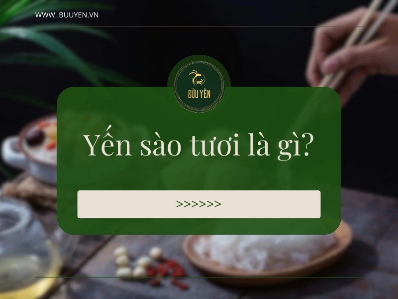 Yến tươi là gì? Cách bảo quản và lưu ý khi dùng