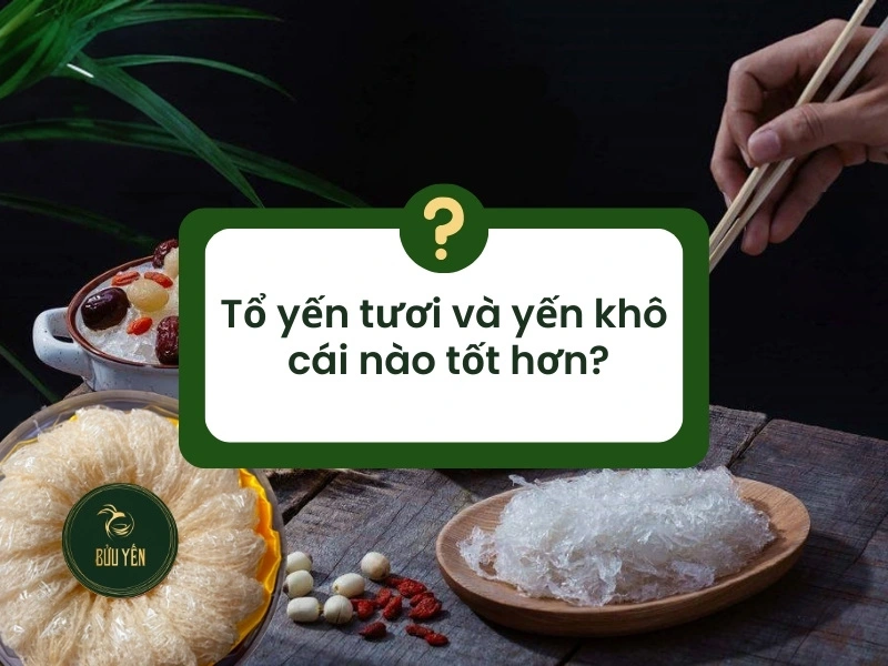 Yến tươi là gì? Cách bảo quản và lưu ý khi dùng