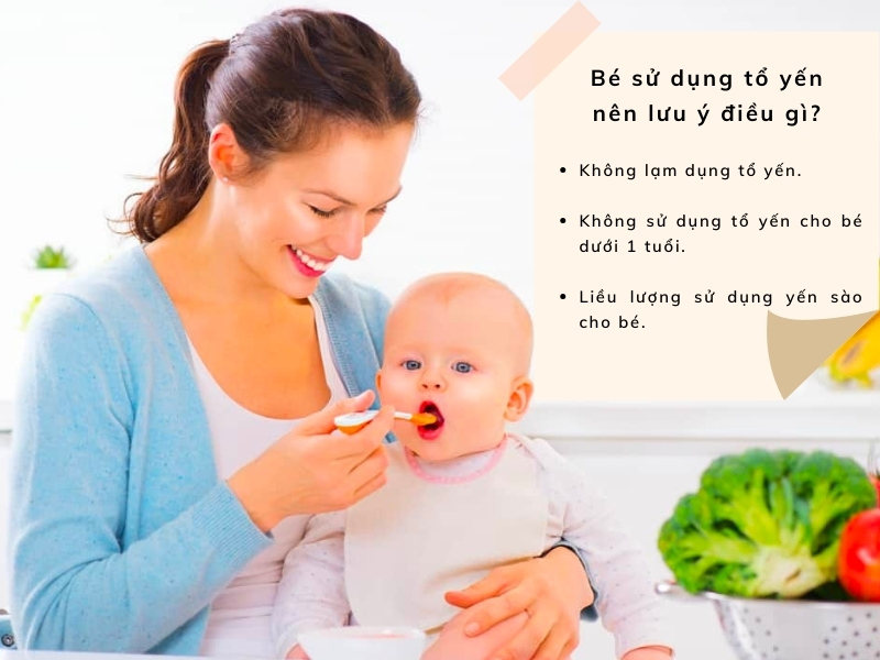 Mấy tuổi ăn được yến sào? Lưu ý khi sử dụng yến cho bé