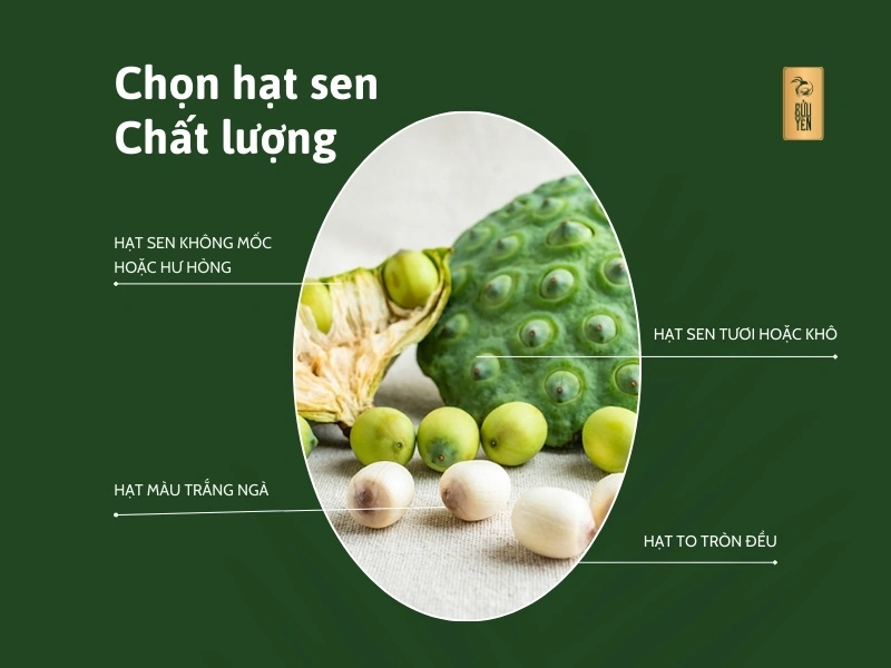 yen-chung-hat-sen-chon-hat-sen