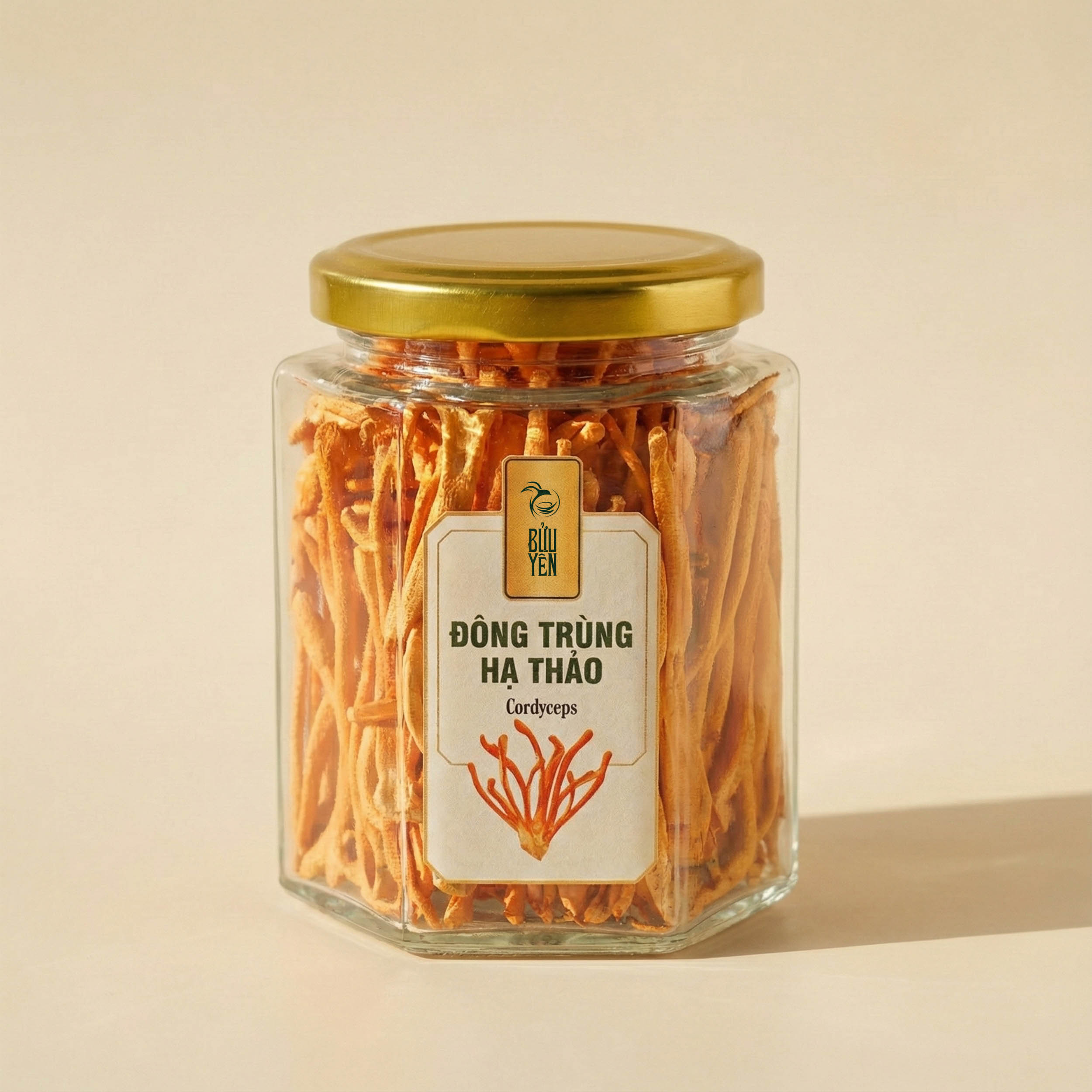 Bửu Yến DONG TRUNG HA THAO 1