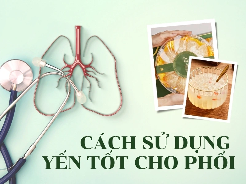 cach-su-dung-yen-tot-cho-phoi