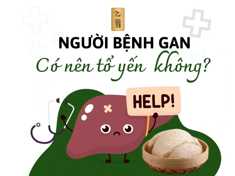 Người bệnh gan có nên ăn tổ yến? Các thực phẩm nên ăn