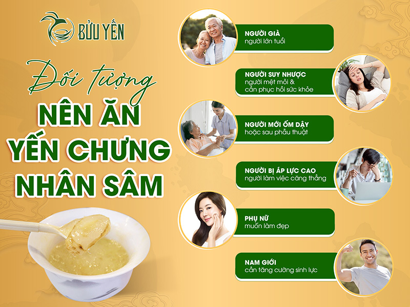đối tượng nên ăn yến chưng nhân sâm