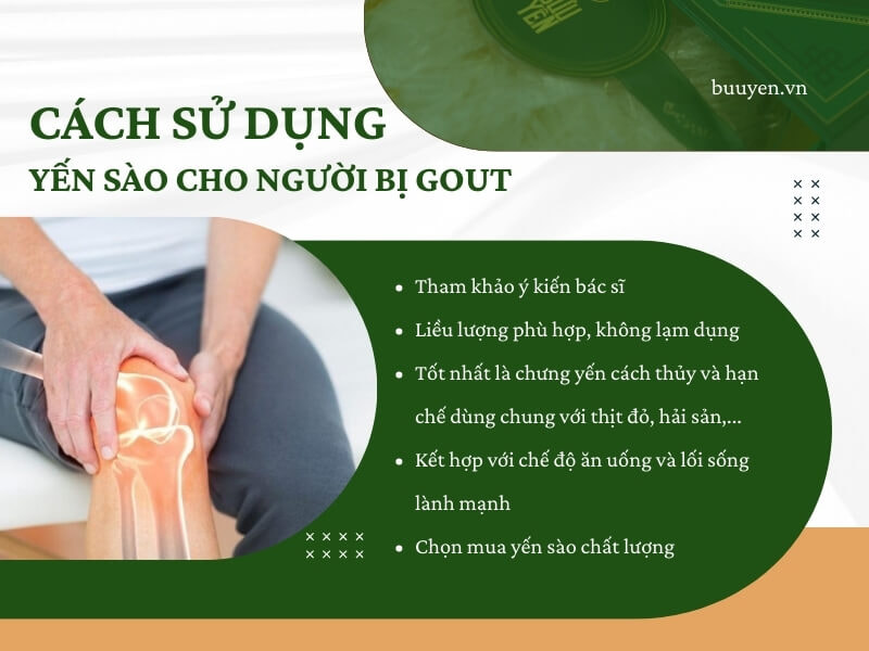 sử dụng yến sào đúng cách cho người bị gout