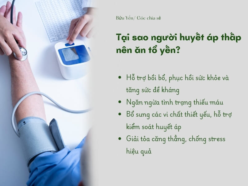 tác dụng của yến với bệnh huyết áp thấp