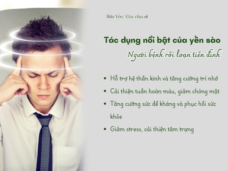 tác dụng của yến sào với não bộ của người rối loạn tiền đình