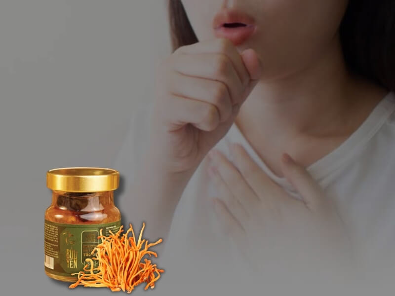 tác dụng của yến chưng đông trùng hạ thảo với hệ hô hấp