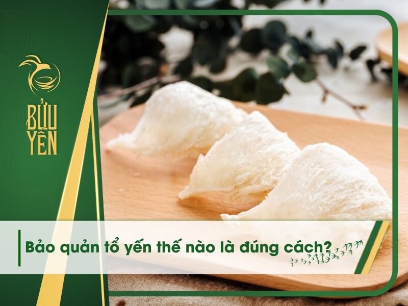 Cách bảo quản tổ yến khô, yến tươi đúng cách