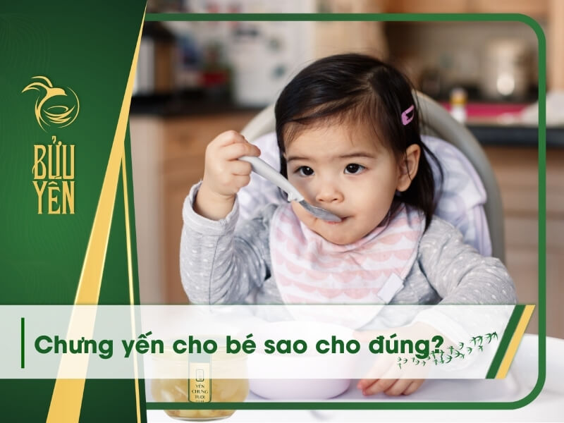 5 Cách chưng tổ yến cho bé ăn tăng cân, giàu dinh dưỡng 