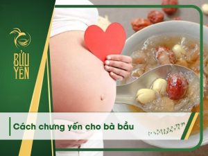 5 Cách chưng yến cho bà bầu bổ dưỡng và an toàn