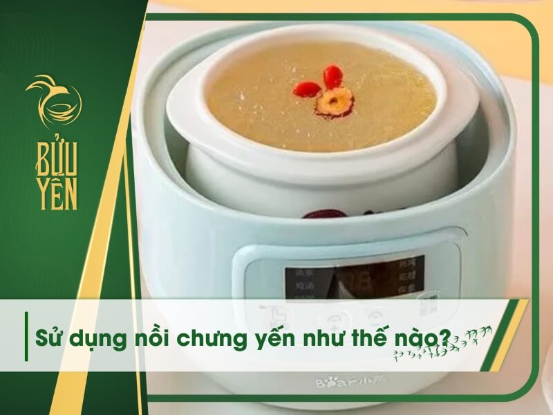 Cách sử dụng nồi chưng yến đúng cách, đơn giản
