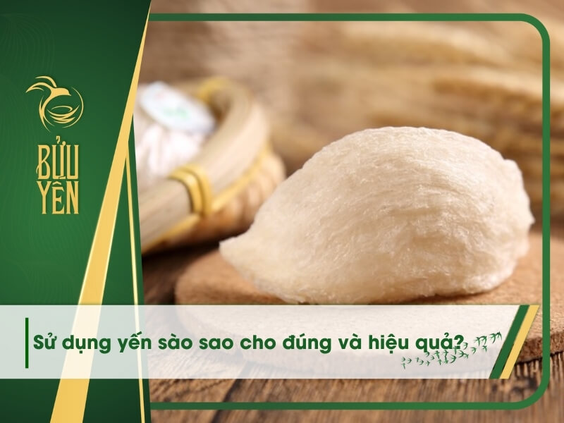Cách sử dụng yến sào và liều lượng ăn yến hiệu quả