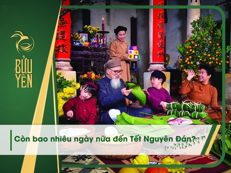 Còn bao nhiêu ngày nữa đến Tết Nguyên Đán 2024?