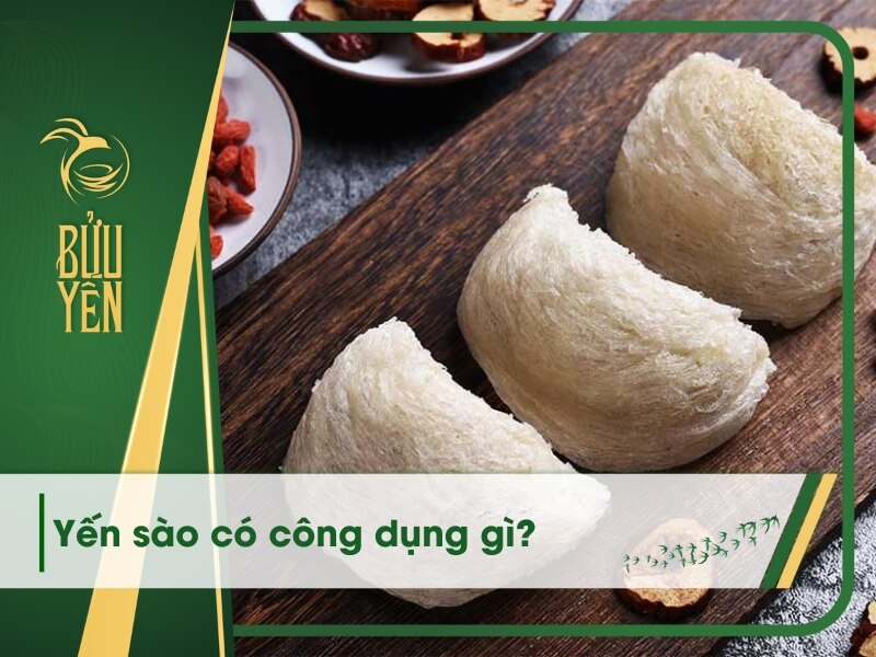 17 Công dụng của yến sào đối với sức khoẻ và làm đẹp
