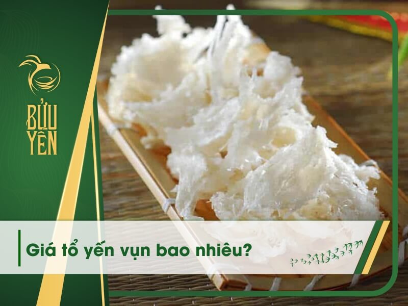 Giá tổ yến vụn bao nhiêu lạng? Lưu ý khi mua yến vụn