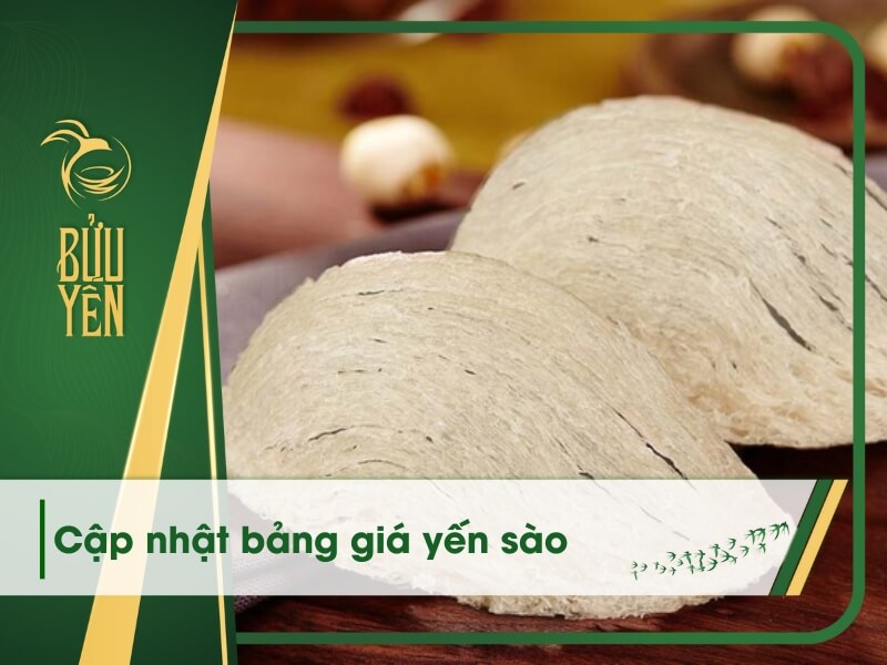 Giá yến sào bao nhiêu