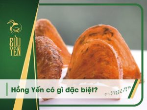 Sự thật về hồng yến: So sánh, công dụng và cách nhận biết