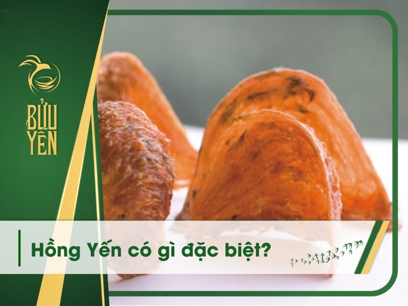 hồng yến