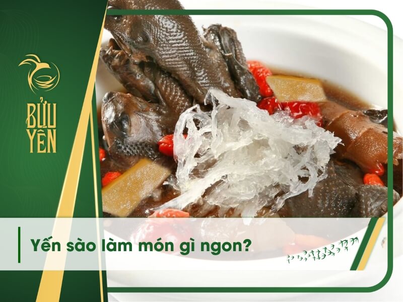 Món ngon từ yến sào