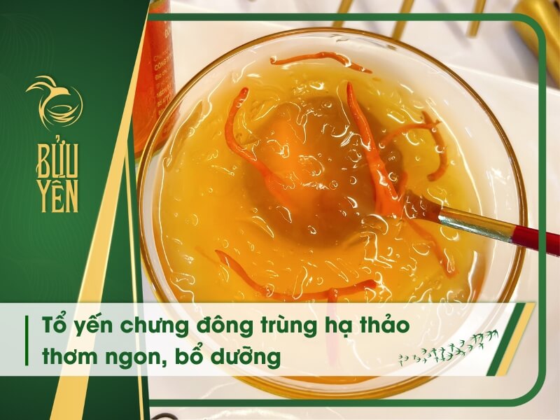 Tổ yến chưng đông trùng hạ thảo thơm ngon, bổ dưỡng