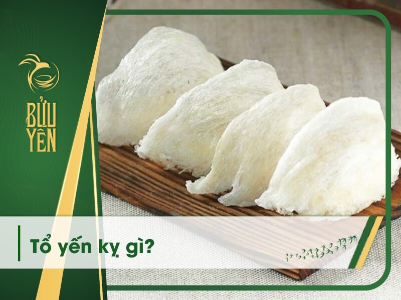 Tổ yến kỵ gì? Những sai lầm thường gặp khi sử dụng yến sào